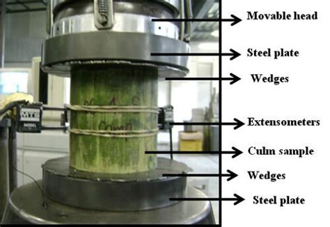 bamboo compression test|bamboo steel strength.